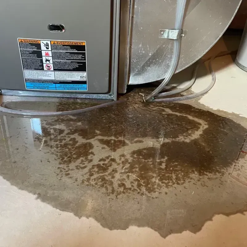 Appliance Leak Cleanup in Rumson, NJ